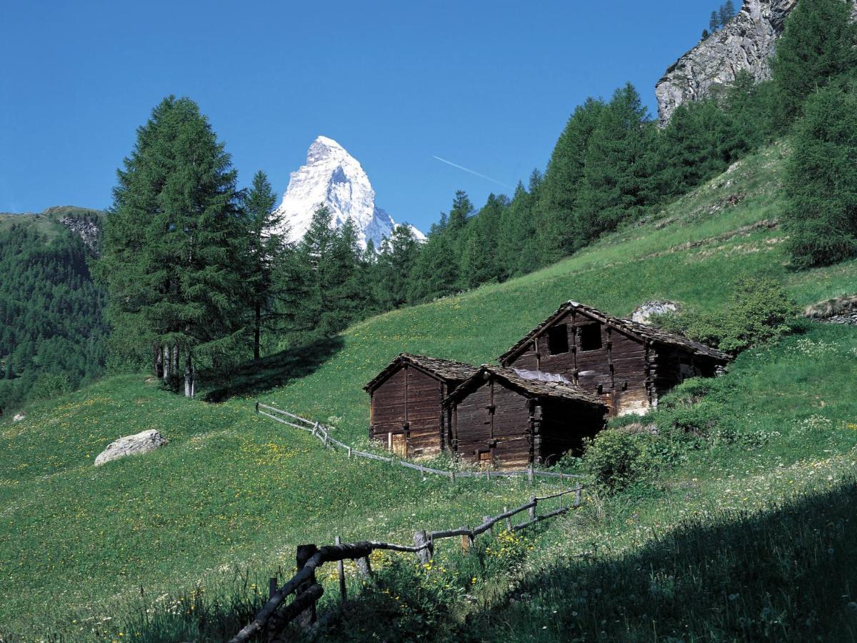 Apartment Armina By Interhome Zermatt Eksteriør bilde
